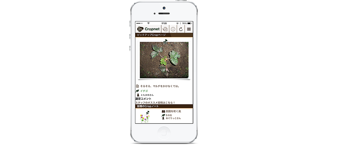 2cropnet_sp