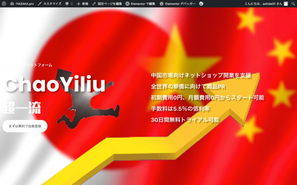 越境ECプラットフォーム